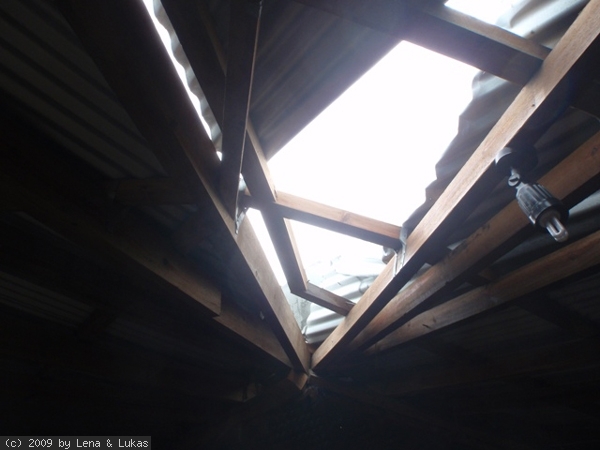 5555 die ersten ergebnisse des Zyklons... ein neues Fenster